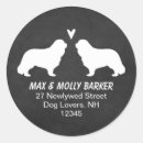 Suche nach cavalier king charles aufkleber Höhle