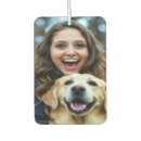 Recherche de labrador voiture accessoires Chien