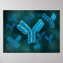 Recherche de adn posters Nucléotide