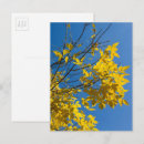 Recherche de automne photographie Paysage