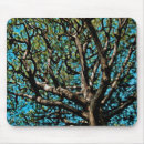 Recherche de chêne tapis souris Nature