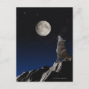Suche nach wolf und mond postkarten Nacht