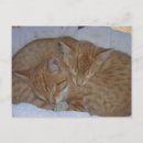 Recherche de ensembles de cartes postales Motif