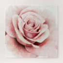 Suche nach rosa rosen puzzle Botanisch
