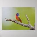 Recherche de territory art Texas