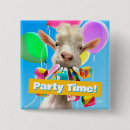 Recherche de pétards badges Anniversaire
