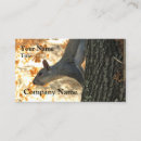 Recherche de écureuils cartes visite Rongeur