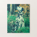 Recherche de dalmatien puzzles Chien