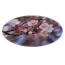 Suche nach rosa kirschblüte schneidebrettchen Blumenreich