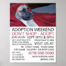 Recherche de adoption de chien Pour tous
