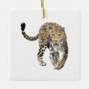 Recherche de animaux jungle ornements Léopard