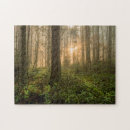 Recherche de brumeux puzzles Forêt