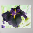 Suche nach blumendruck poster Lila