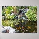 Recherche de koi pond posters Nénuphar