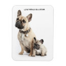 Recherche de francais magnets Toute personne