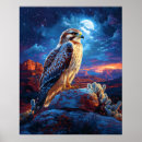 Suche nach sternenklarer himmel poster Mondlicht