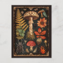 Recherche de charmant cartes postales Pour tous