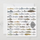 Recherche de de poissons correspondances cartes Pêche