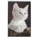 Recherche de amant animal bureau fournitures Amour