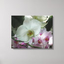 Suche nach lila und weiß leinwandbilder Orchidee