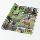 Recherche de cheval cadeau emballages Animaux