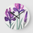 Recherche de iris horloges Botanique