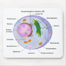 Suche nach zelle mousepads Zytoplasma