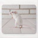 Suche nach nagetiere mousepads Säugetier