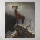 Suche nach rocky mountains poster Felsgebirge