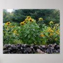 Suche nach sorten poster Natur