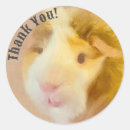 Suche nach guinea pig aufkleber Kabelförmig