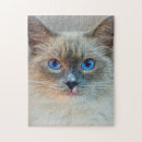 Recherche de siamois puzzles Chats
