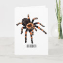 Suche nach tarantula karten Insekt