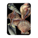 Recherche de vie marine magnets Style nautique