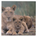 Suche nach afrika fliesen Niedlich