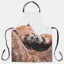 Recherche de koala tabliers Nature