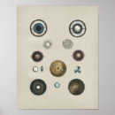 Recherche de yeux humains posters Anatomie