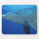 Suche nach floss mousepads Schwimmen
