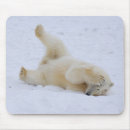 Suche nach ursus maritimus mousepads Fauna