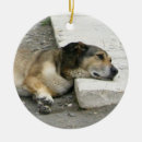Suche nach müde ornamente Pensionierung