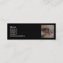 Recherche de peinture de cheval cartes visite Animal