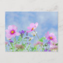 Recherche de champ des fleurs cartes postales Bleu