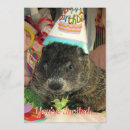 Recherche de marmotte invitations Animal