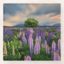 Suche nach neuseeland untersetzer Wiese