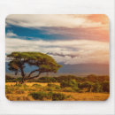 Recherche de le kenya Paysage