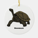 Suche nach tortoise ornamente Reptil