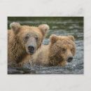 Suche nach wild lebende tiere postkarten Tragen