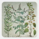 Suche nach botanischer druck aufkleber Drucken