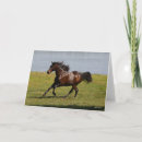 Suche nach lusitano karten Laufen