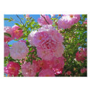 Recherche de fleurs romantiques posters Pivoines